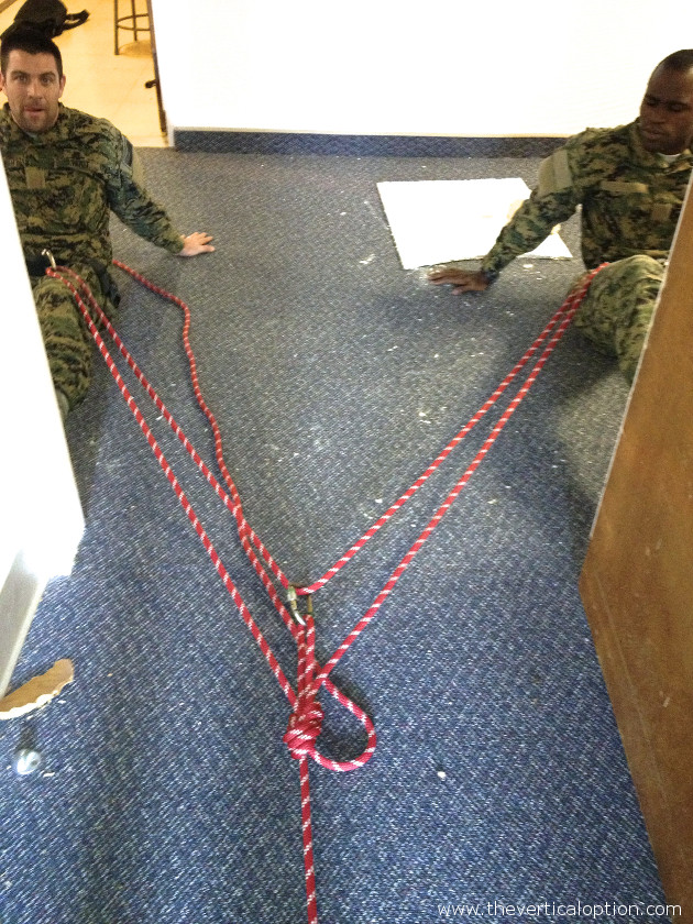 The Vertical Option Gallery of images